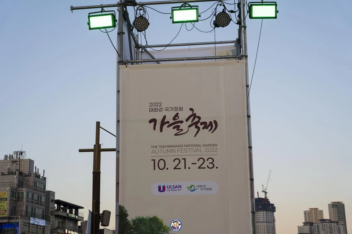 울산 꼭 가봐야되는 곳! '2022 태화강 국가정원 가을축제' 핑크뮬리,국화와 함께 가을을... DSC00065-복사.webp