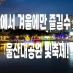 오색빛깔 빛의세상속으로 와보세요 - 울산대공원 빛축제 (아이들과 방문하기 좋은곳) DSC00070-복사.webp