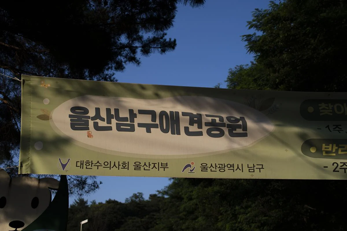 울산 애견운동공원 야간개장으로 야간에도 산책 즐기세요 DSC00086-복사.webp