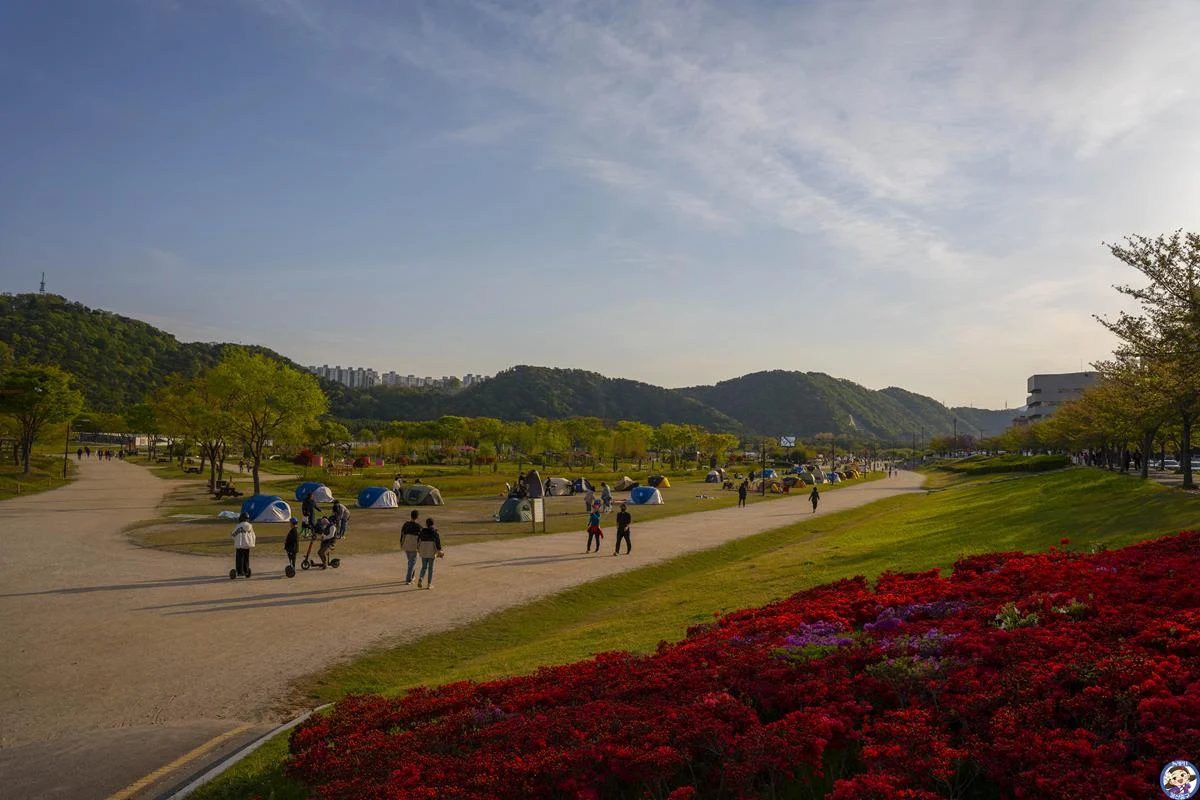 4월여행 - 태화강국가정원 봄이 피는곳! (피크닉존, 포토존,야생갓꽃축제) DSC00109-복사.webp
