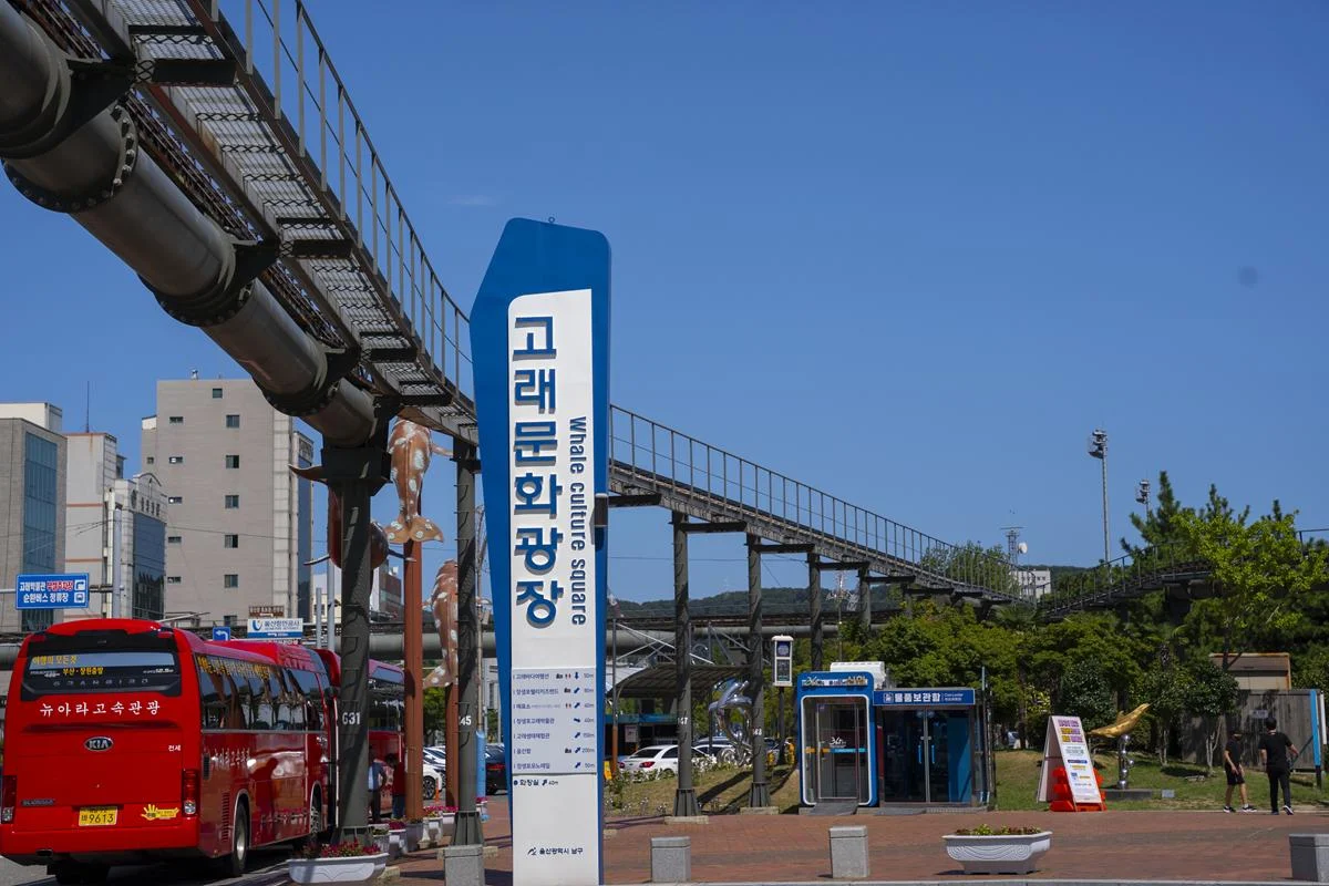 고래에 진심인 마을! 우영우가 좋아했던 고래를 보러 장생포 고래문화 마을에 방문해보세요.