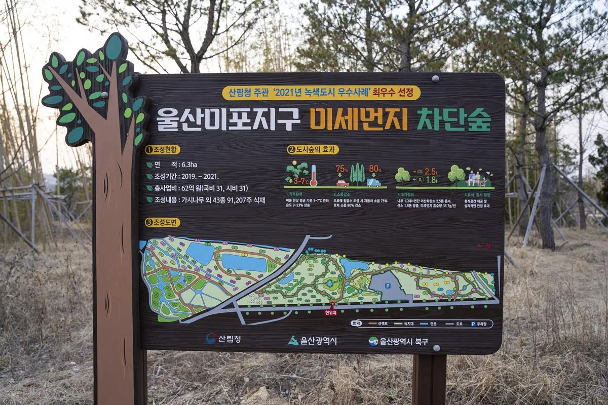 도심속 산책하기 좋은 울산 북구 미포지구 '미세먼지 차단숲' 도심속 산책하기 좋은 울산 북구 미포지구 ‘미세먼지 차단숲’