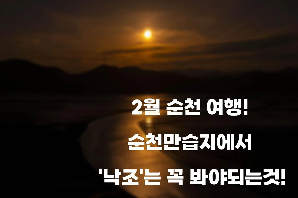 2월 순천 여행! 순천만습지에서 ‘낙조’는 꼭 봐야되는것!