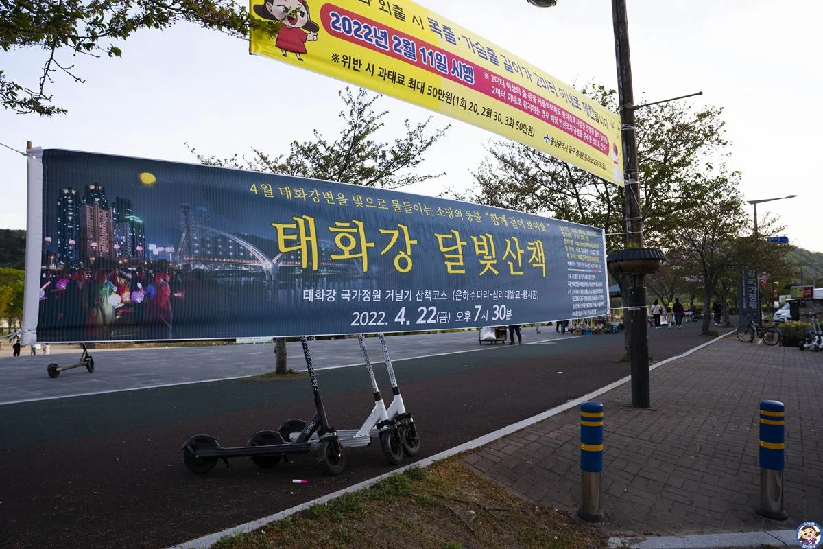 미리가본 태화강 달빛산책! 연등축제! 걷기가 너무 좋은곳 태화강둔치