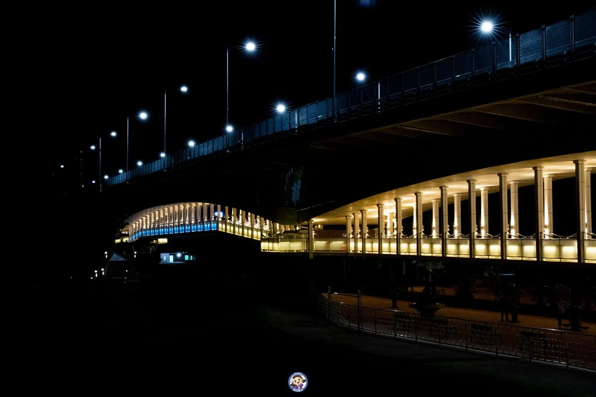 한여름밤의 오싹한 야행 ‘태화강 대숲납량축제’ 밤산책