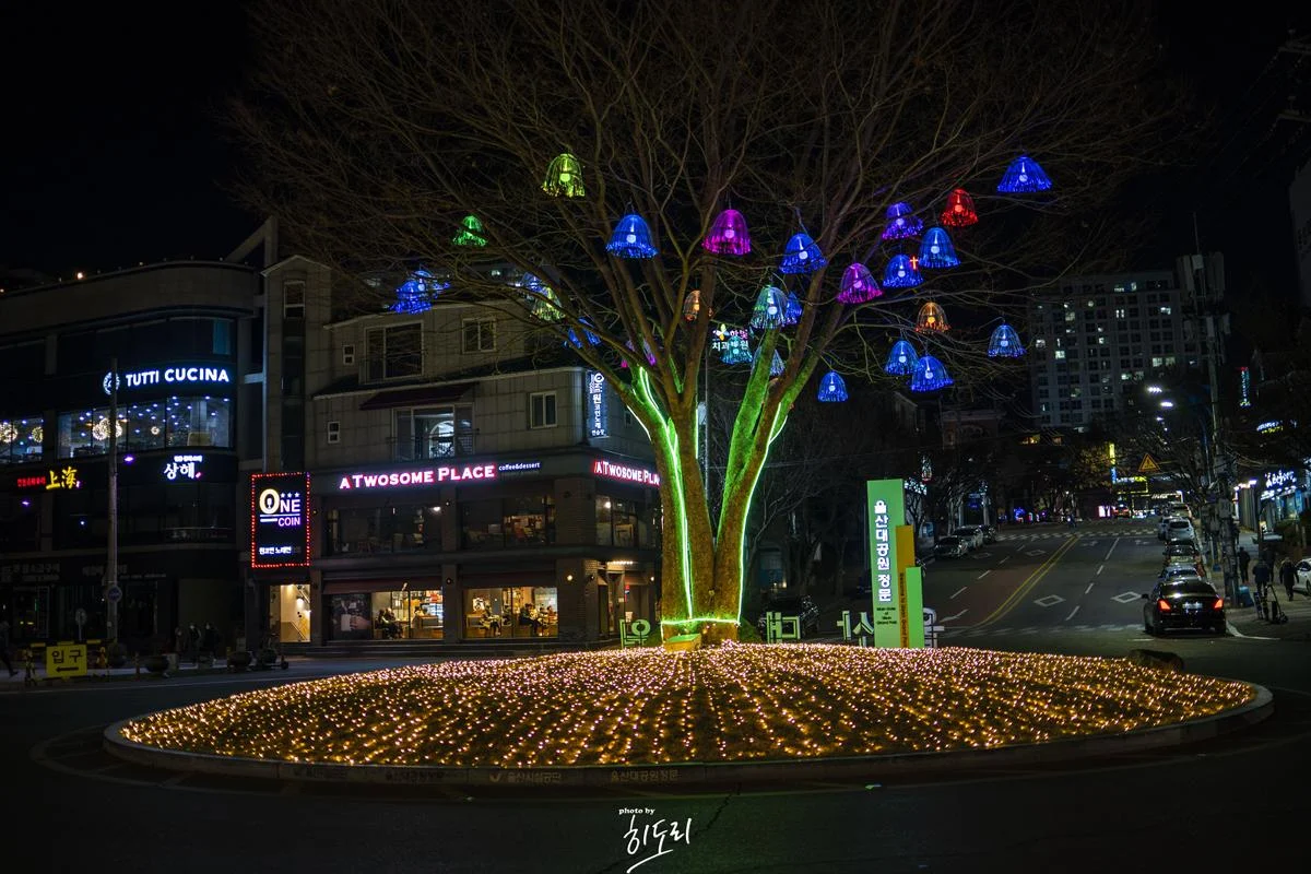 빛의 앙상블 "제7회 울산대공원 빛축제 " 울산 여행 추천 DSC00211-복사.webp