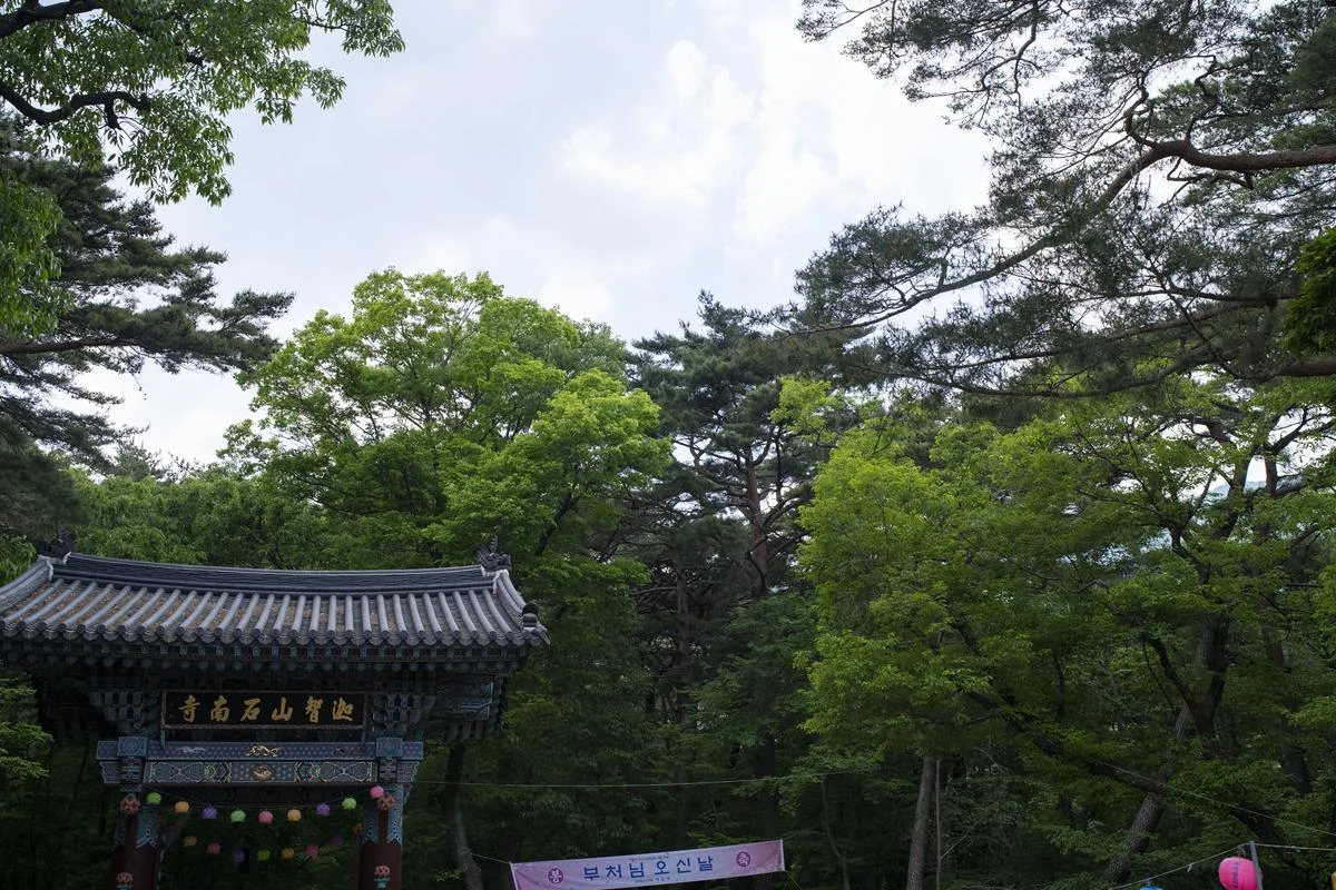 무료입장이 가능해져 산책하기 좋은 울산’석남사’ 무료입장이 가능해져 산책하기 좋은 울산’석남사’