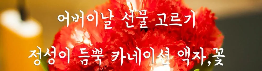 어버이날 선물 고르기 카네이션 LED,화훼마트 비닐하우스 구경 어린이날 선물 핸드메이드 카네이션 액자 만들기 삼겹살 파티 IMG_0033.webp