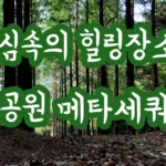 도심속의 힐링장소 울산 대공원 메타세쿼이아 길 도심속의 힐링장소 울산 대공원 메타세쿼이아 길