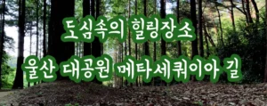 도심속의 힐링장소 울산 대공원 메타세쿼이아 길