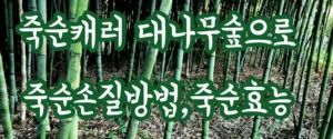 봄철음식 죽순! 죽순캐러 대나무숲으로~ 죽순손질방법,죽순효능