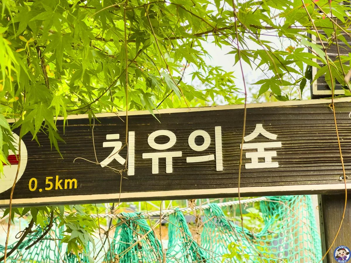 자연과 함께 하는 힐링 체험 - 함월산 맨발등산길 IMG_6520-복사.webp