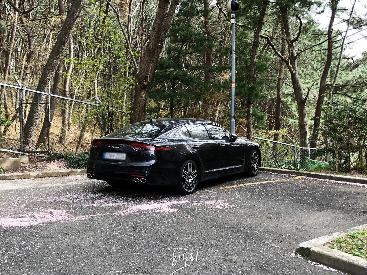 울산 벚꽃 보기 좋은 곳 두번째 - 울산 언양 작천정 IMG_7588-복사.webp