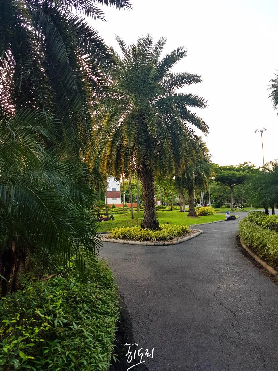 KakaoTalk_20191024_134758497-복사.webp
