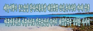 제주 우도 여행기 – 한라산볶음밥과 땅콩 카페, 아쿠아플라넷