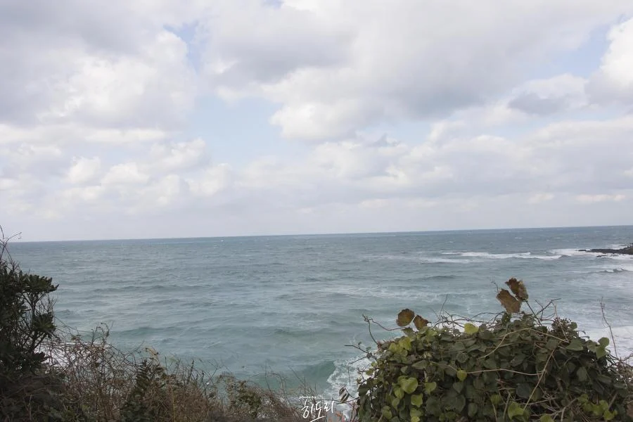 MG_0009-복사.webp