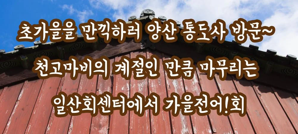 MG_0017.webp