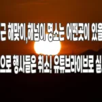 MG_0035-복사.webp
