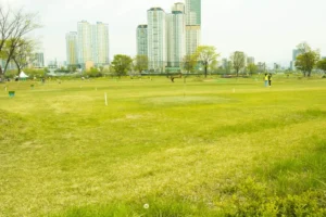 환경보호와 어려운이웃들 위한 장터! 2019 태화강 나눔장터 개장