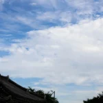 울산 가볼만한곳 - 제 10회 지붕없는 미술관 신화마을 MG_0067-복사.webp