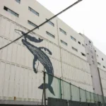 MG_0093-복사.webp