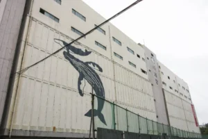 문화예술센터로 탈바꿈 될 세창냉동창고 2차 테스트트베드 다녀오다!