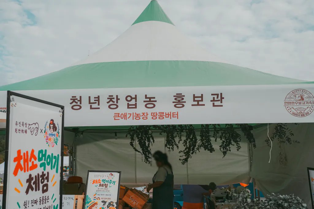 2026 언양한우불고기축제 후기 사진 13