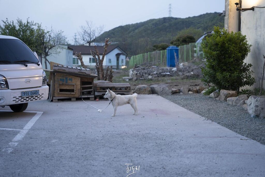 미곡창고(쌀창고)가 카페로 변신? 이색적인 카페 '경주창고' 사진 7