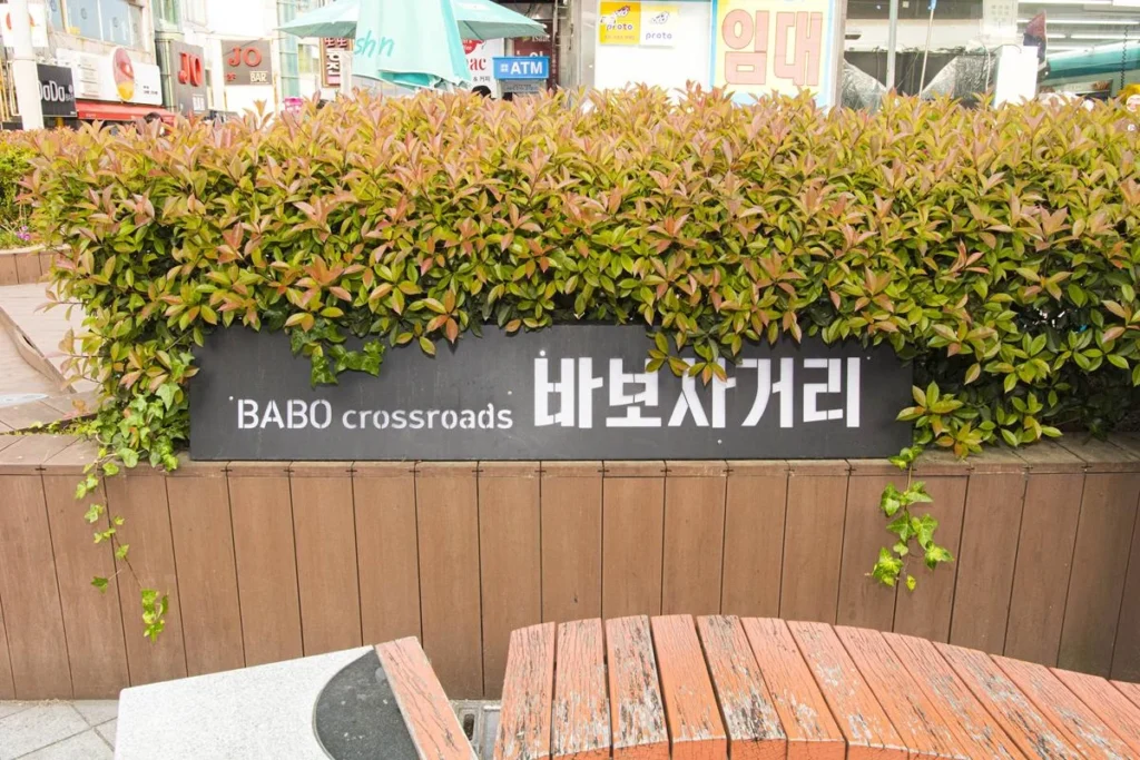 젊음과 낭만이 있는 울산대 앞 바보사거리
