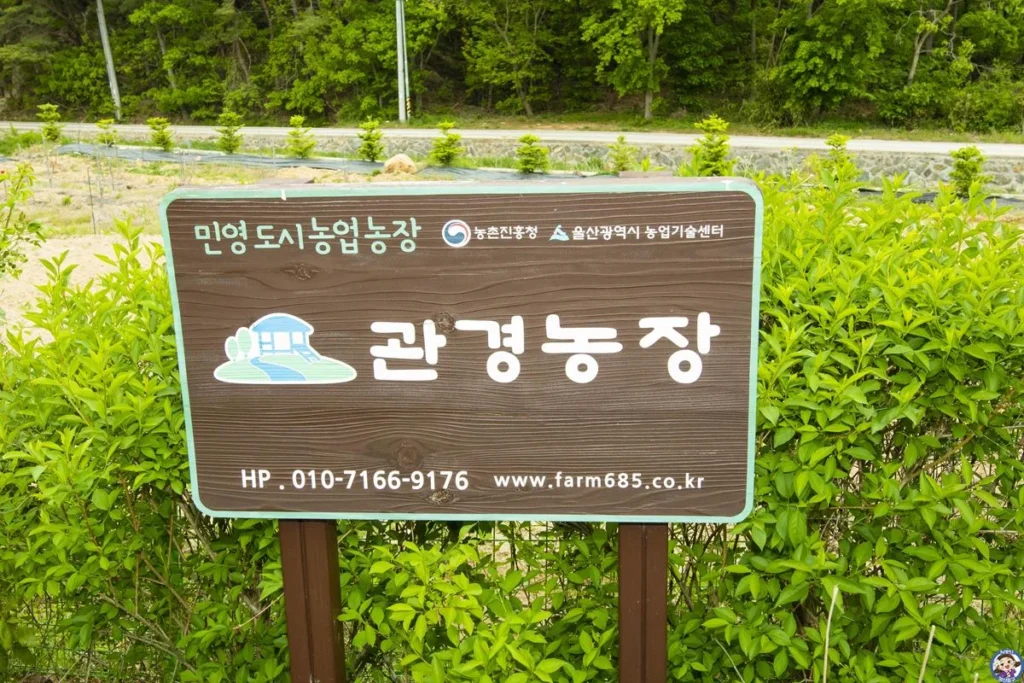 도심속에서 잠시 벗어나 자연을 체험할수 있는 관경농장