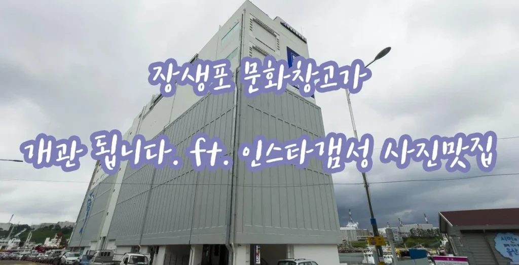 울산가볼만한곳 – 장생포문화창고 ft. 사진찍기좋은곳, 야경맛집