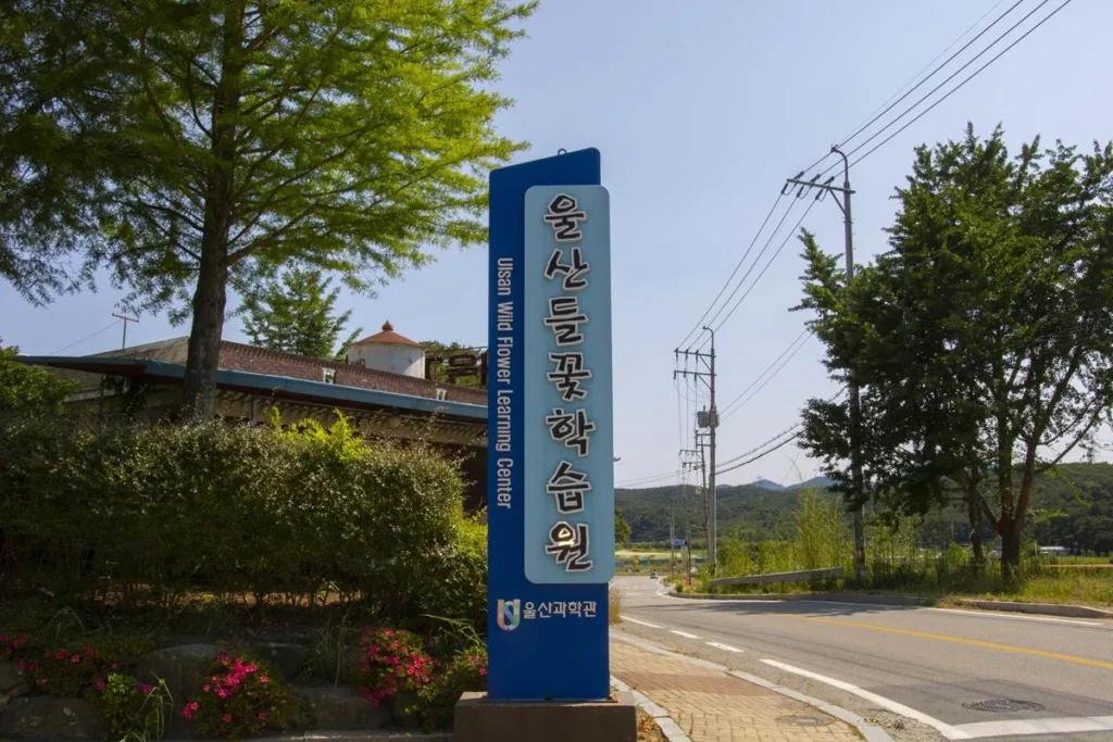 울산가볼만한곳 – 자연고 함께 힐링을 할수 있는 울산들꽃학습원
