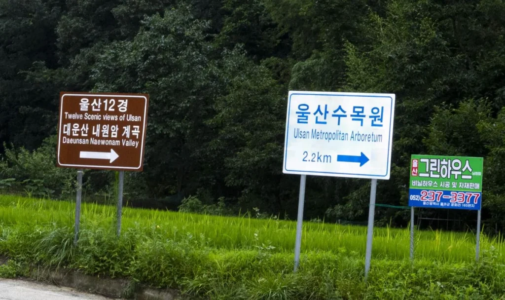 울산가볼만한곳 – 이번 여름휴가 힐링이 필요하시면 ‘대운산 치유의숲’으로 울산가볼만한곳 – 이번 여름휴가 힐링이 필요하시면 ‘대운산 치유의숲’으로