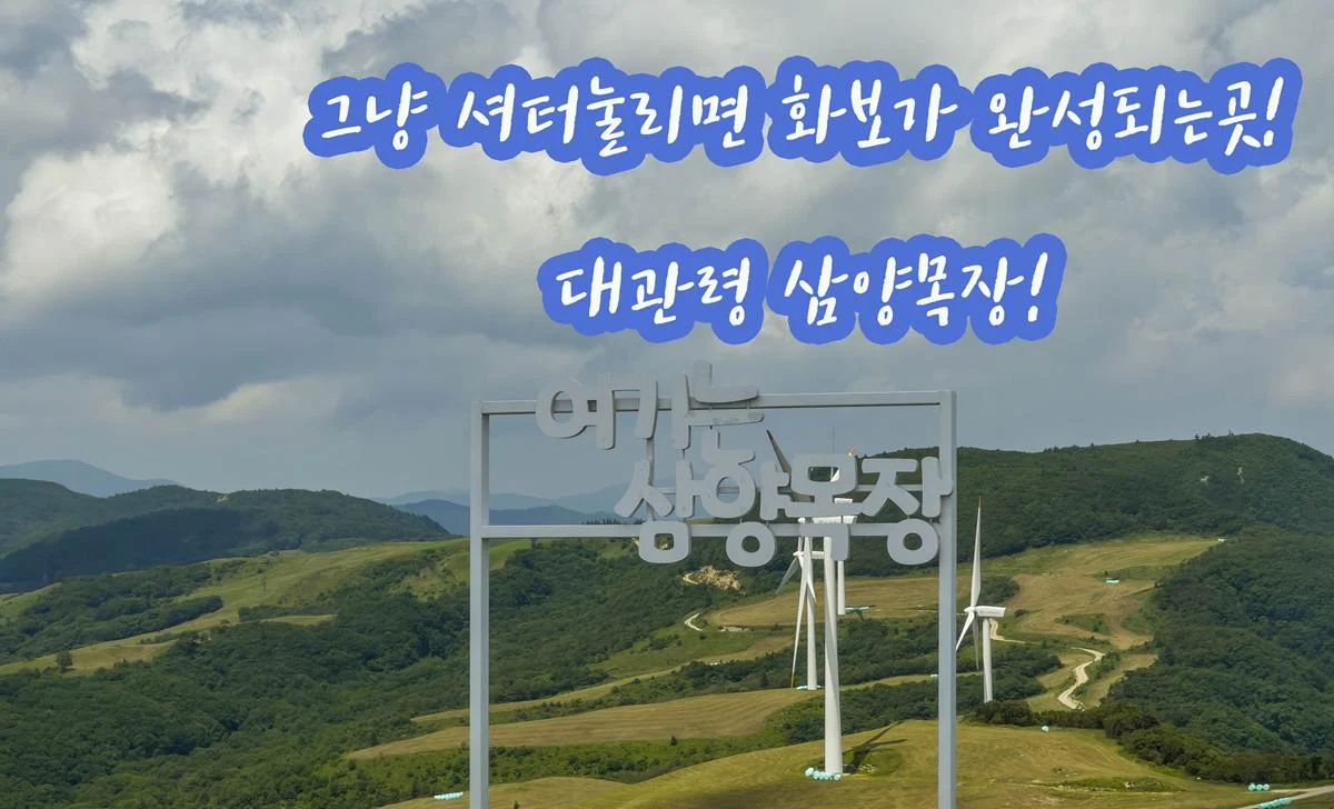 그냥 셔터눌리면 화보가 완성되는곳! 대관령 삼양목장! 강원도여행 필수코스 img.webp