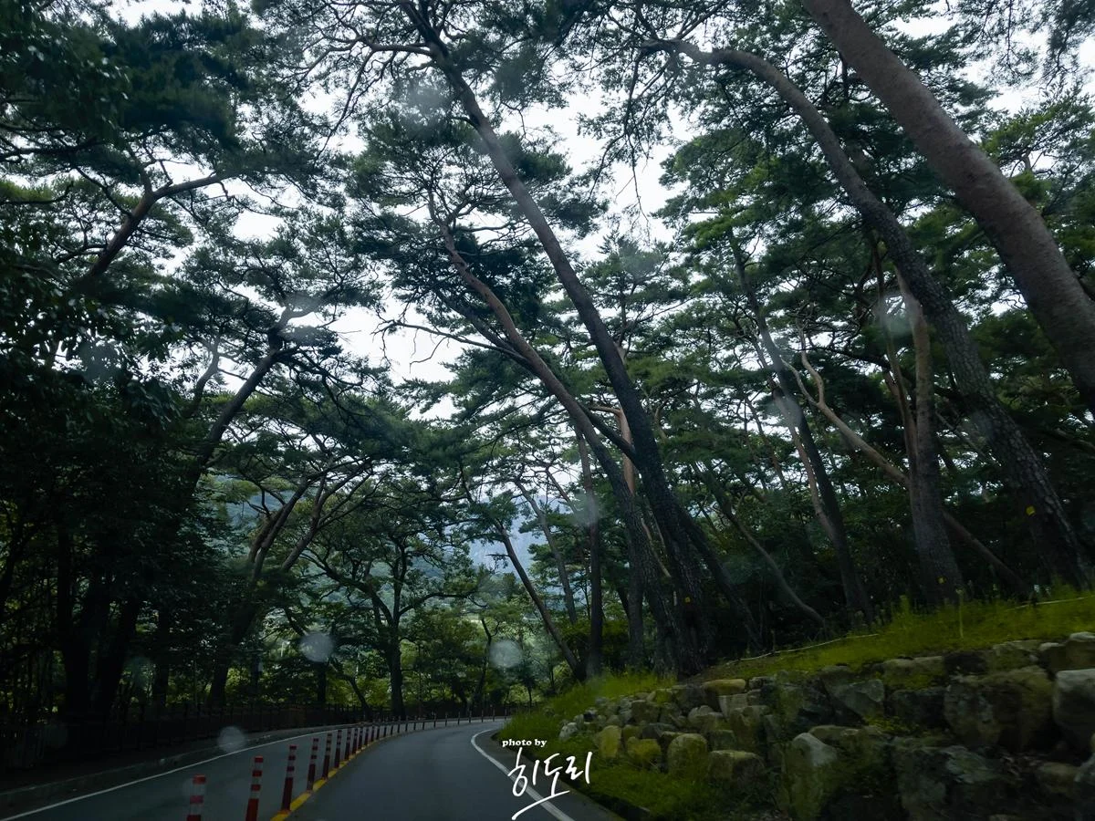 드라이브,산책하기 좋은 울산외곽 밀양’표충사’ 가을산행~