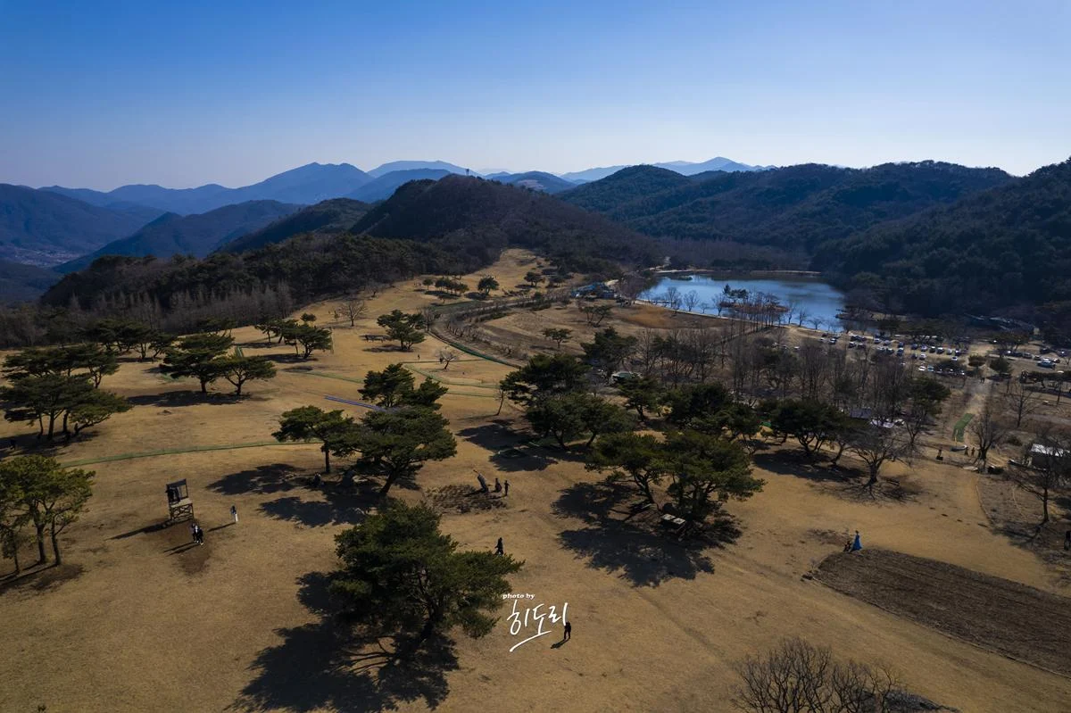 한국의 뉴질랜드라 불리는 경주 ‘화랑의언덕’ 경주여행 필수 3월여행 한국의 뉴질랜드라 불리는 경주 ‘화랑의언덕’ 경주여행 필수 3월여행