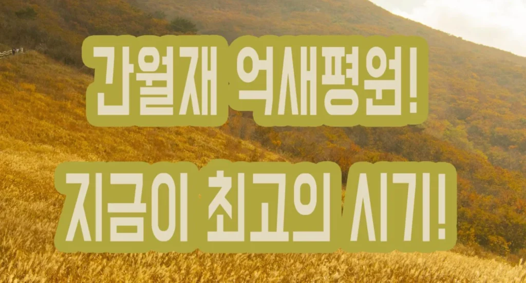 간월재 억새평원! 지금이 최고의 시기! 가을감성 느끼러 다녀옵시다! 간월재 억새평원! 지금이 최고의 시기! 가을감성 느끼러 다녀옵시다!