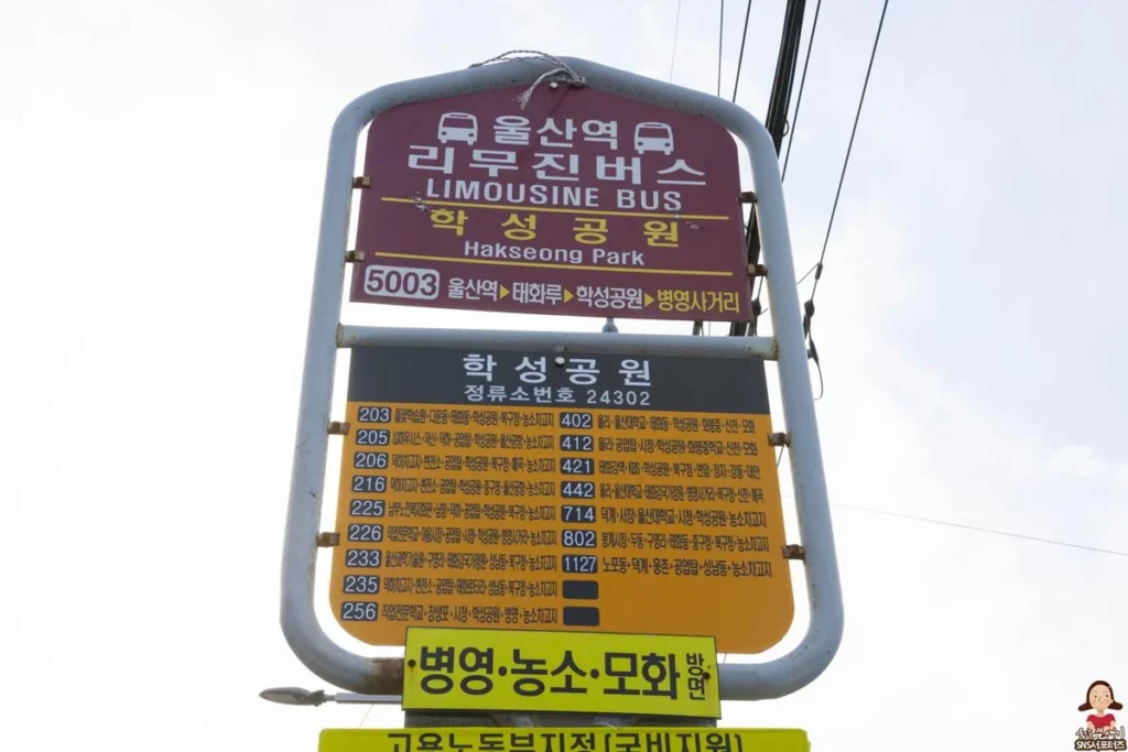 울산 중구의 도심속에서 단풍놀이 즐기기 좋은 학성공원 (학성,마실’ 학성공원 주민참여축제)
