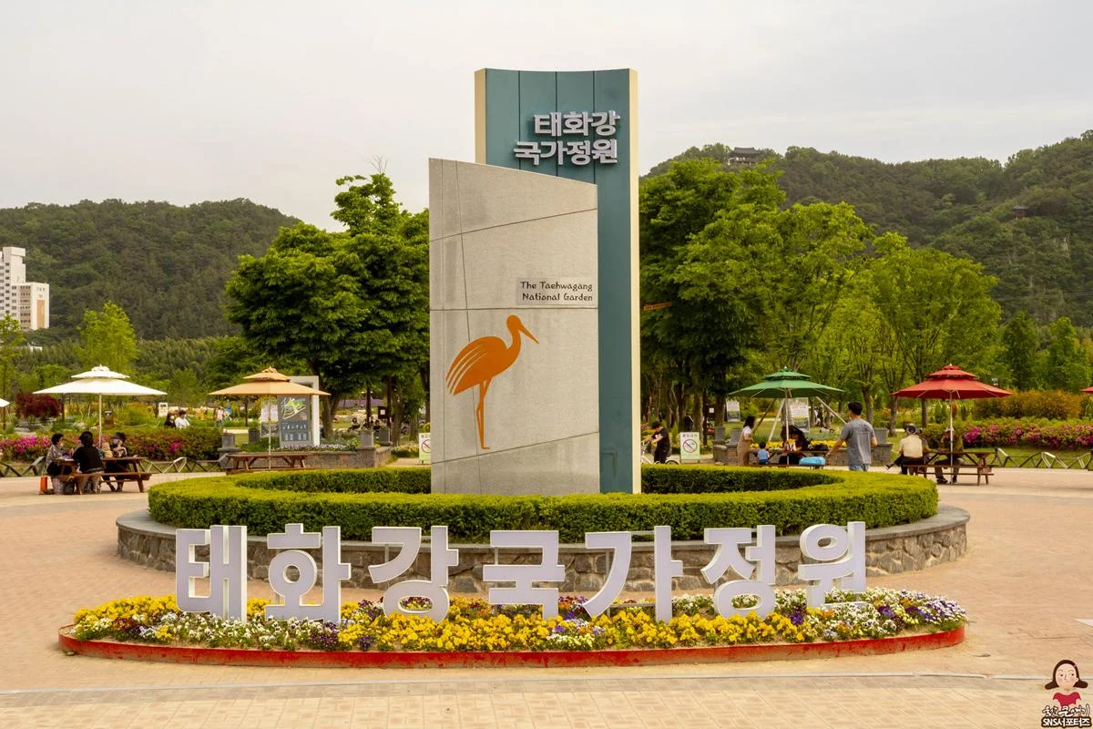 울산 태화강국가정원의 꽃밭에서 힐링하세요.