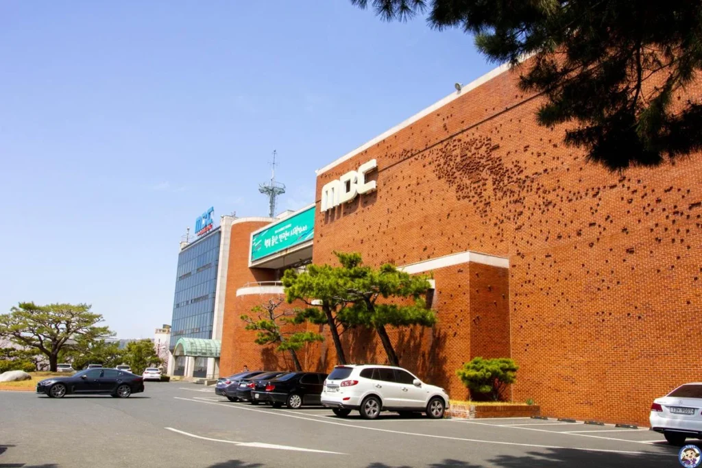 울산 중구의 벚꽃명소 – 울산MBC 문화동산