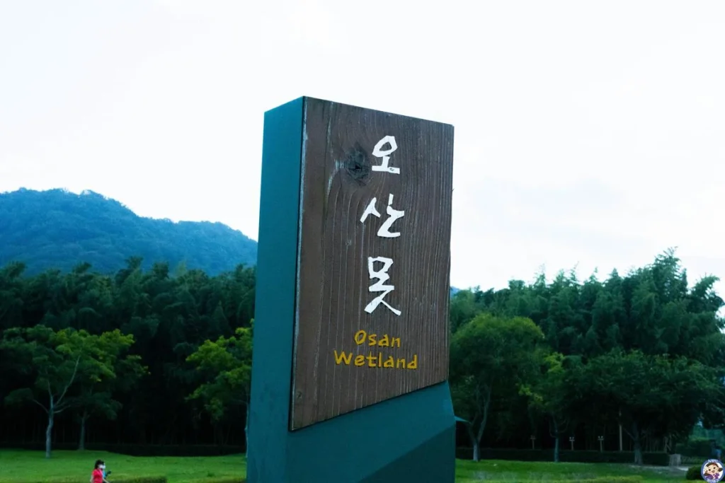 옛부터 태화강은 아름다운곳이였군요. 오산 만회정, 관어대 답사 사진 17
