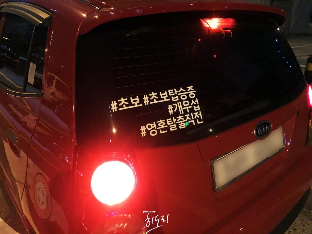 성안동 맛집 분위기좋은 레스토랑 1981 레스토랑 사진 14