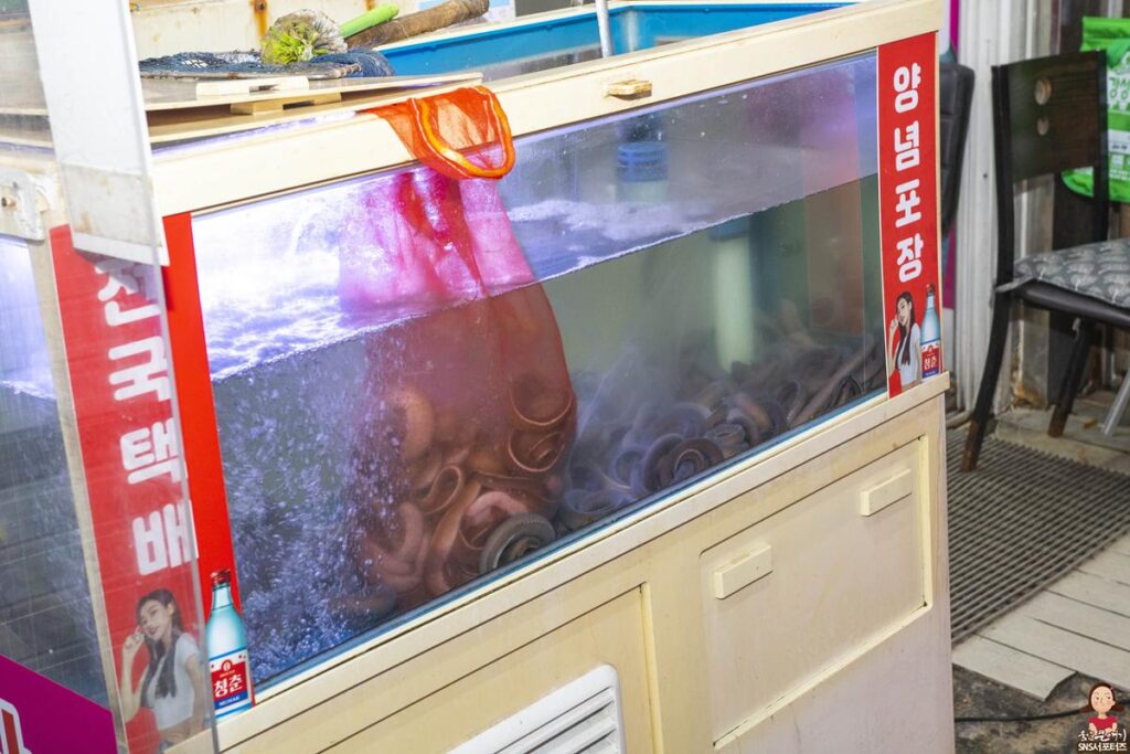 울산 중구 중앙시장에서 즐길수 있는 곰장어 골목길 사진 4