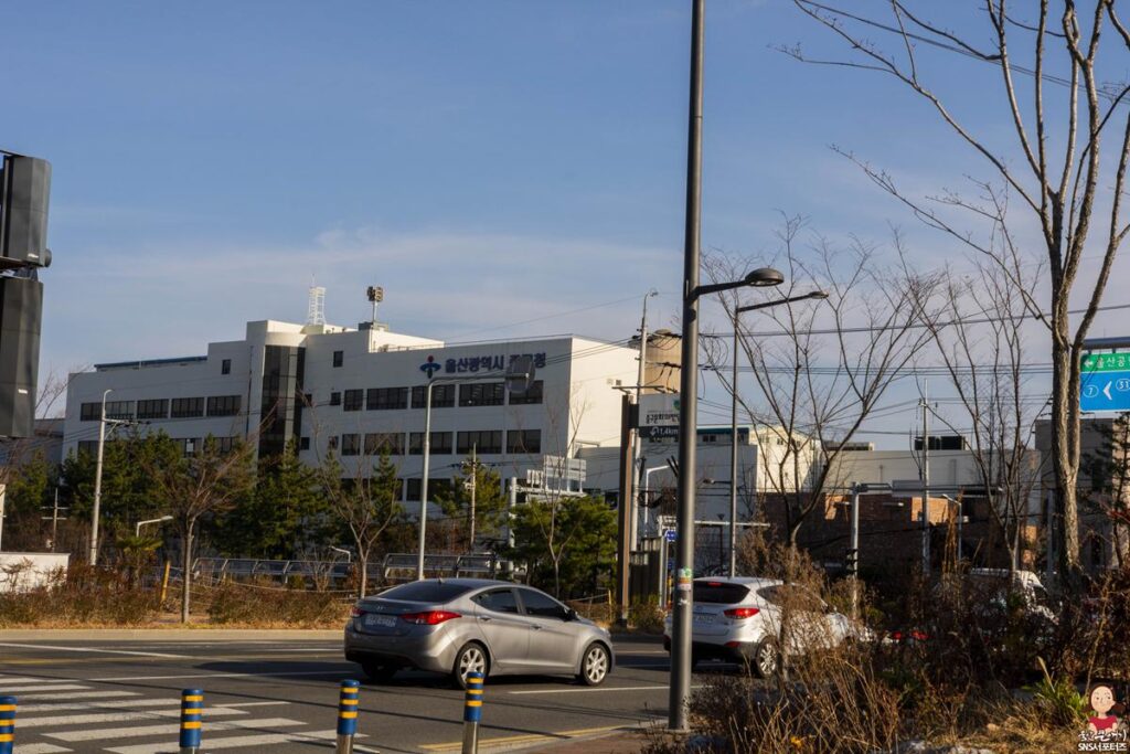 울산 중구에 위치한 혁신도시 명품음식거리 일대를 아시나요? 사진 2