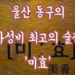 울산 동구의 가성비 최고의 술집 '미효' 레몬맥주와 닭목살구이는 꼭 먹어야되요!!! 사진 1