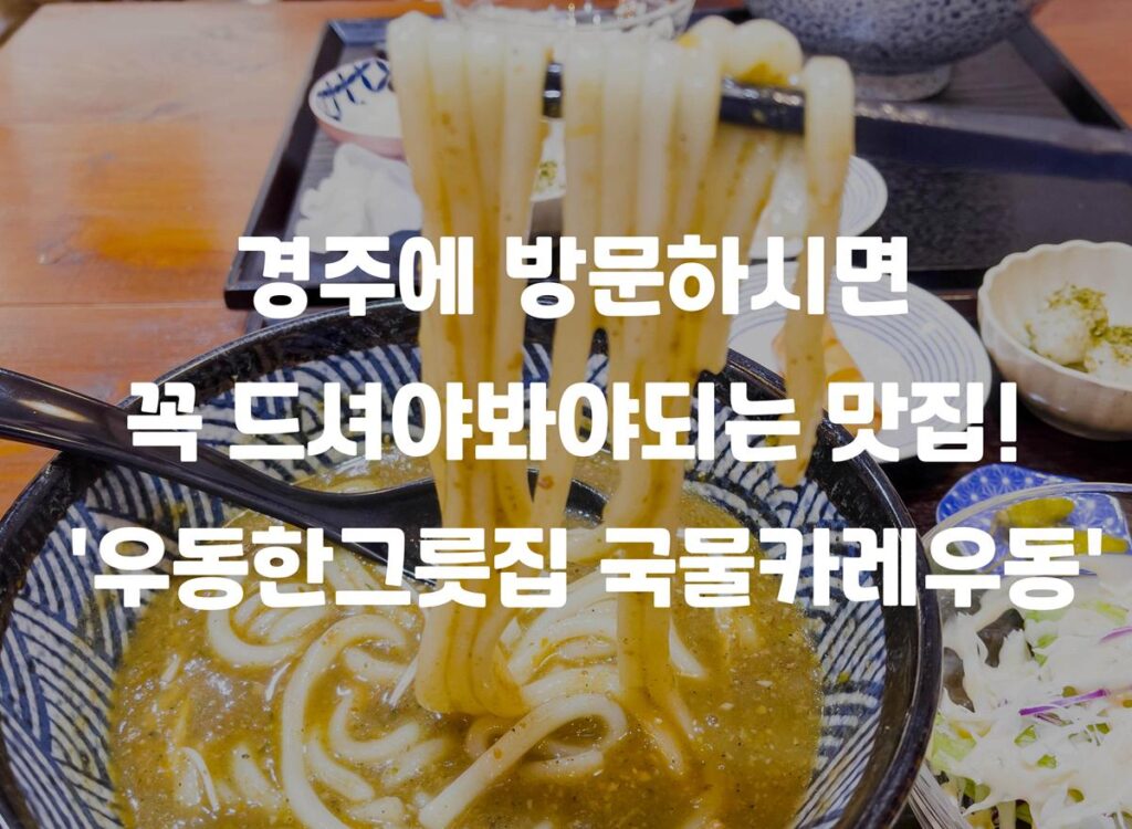 경주에 방문하시면 꼭 드셔야봐야되는 맛집! ‘우동한그릇집 국물카레우동’
