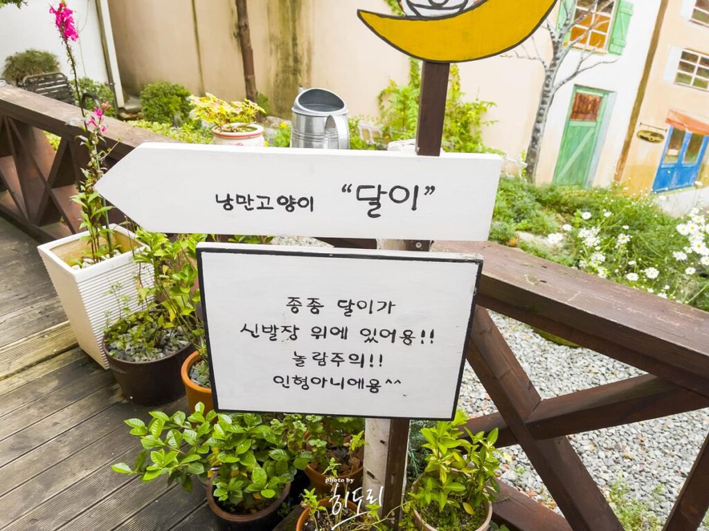 경주에 방문하시면 꼭 드셔야봐야되는 맛집! '우동한그릇집 국물카레우동' 사진 9