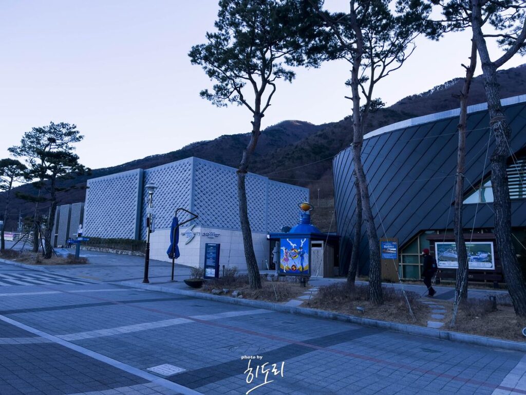 울산 울주 작천정 맛집 - 솥뚜껑 닭도리탕 산다화! 아이들과 방문하기 좋은곳 사진 7