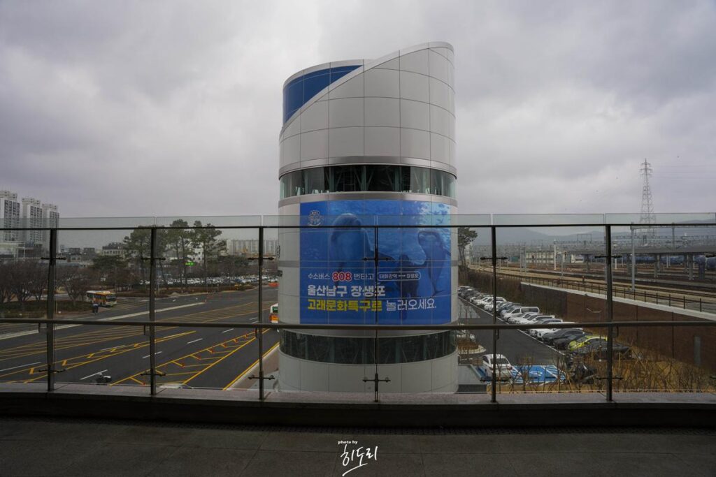 울산에서 경주 힐튼호텔 '레이크사이드' 까지... 먹을게 없다... 사진 2