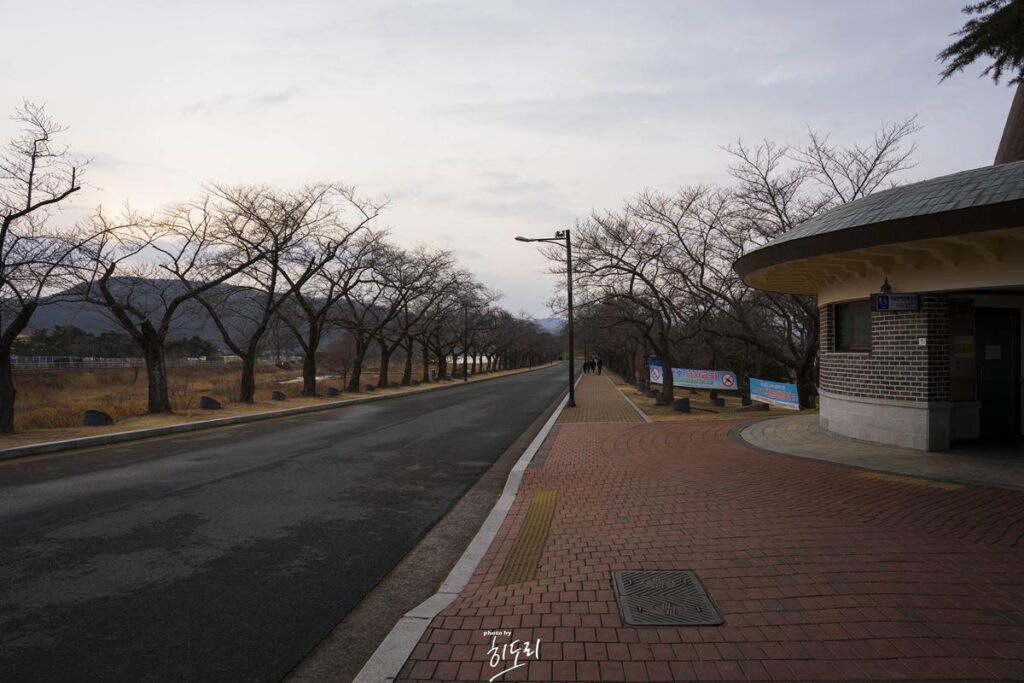 울산에서 경주 힐튼호텔 '레이크사이드' 까지... 먹을게 없다... 사진 11